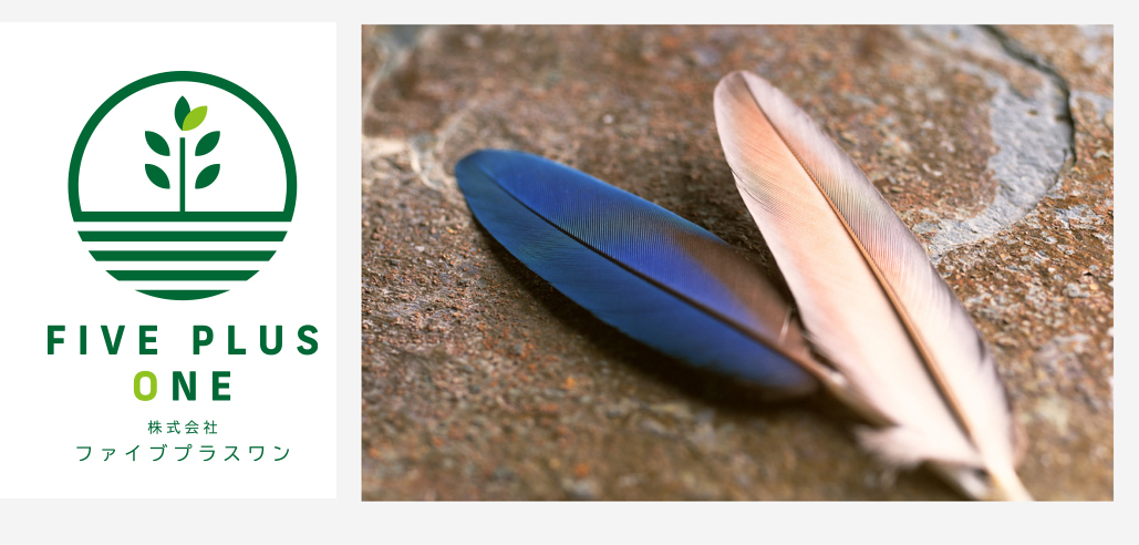 [EGfBOT[rXEIrWlXT|[g̃t@CuvX